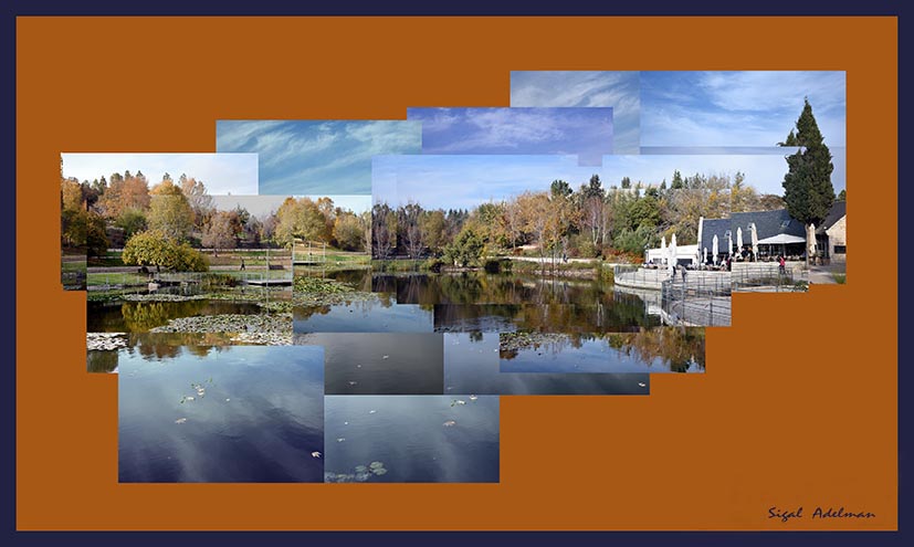 The Botanical Garden