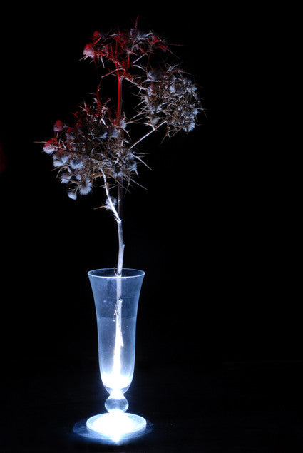 Israeli Still Life - טבע ישראלי דומם# 2