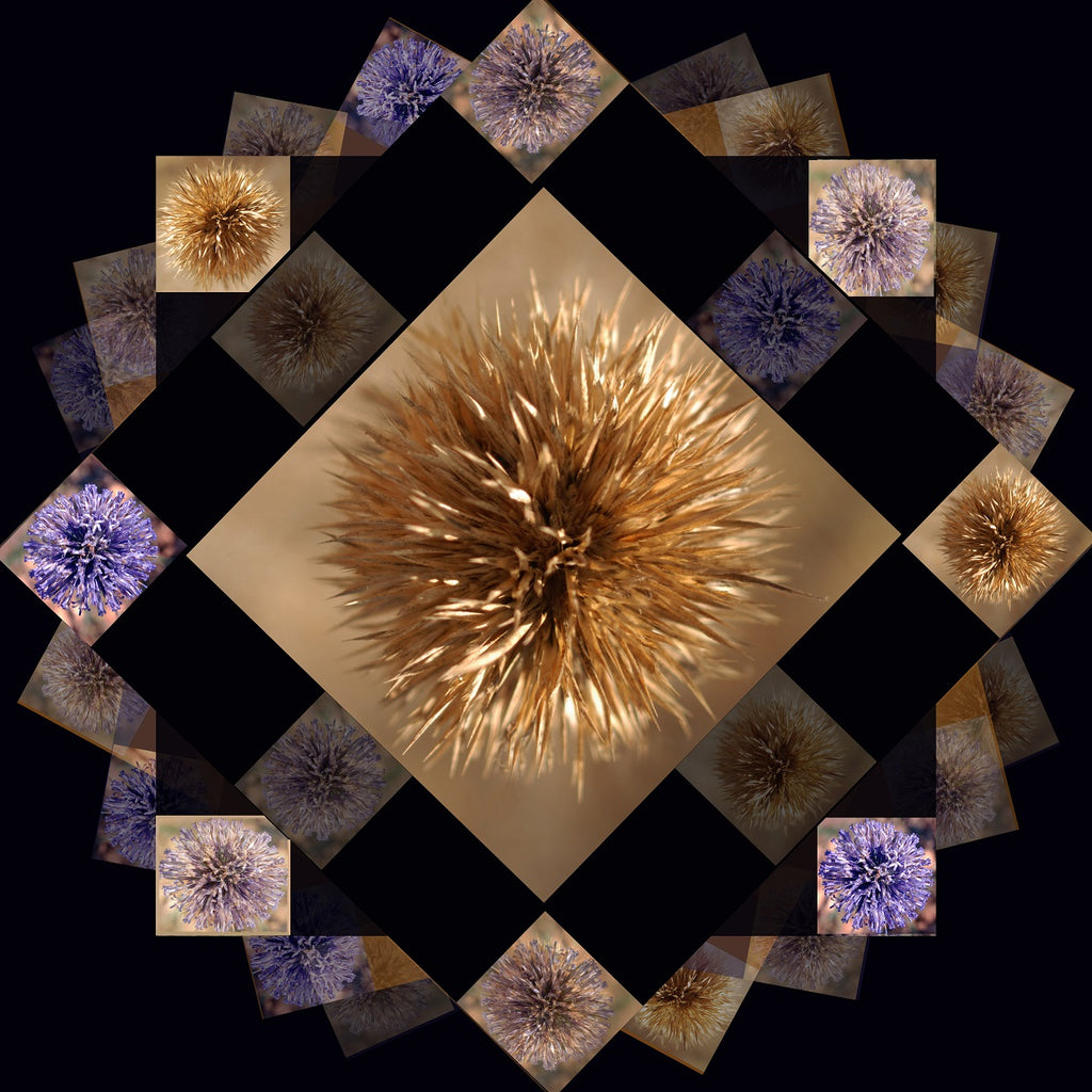 Image Art #11
