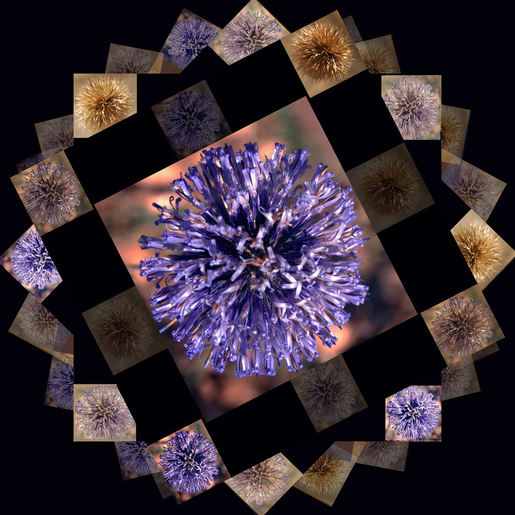 Image Art #12 - Transfiguration of the Soul